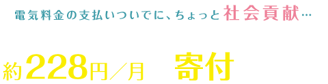安くなった分、電気料金の支払いついでに、ちょっと社会貢献...
↓
従来の電気料金の2%相応の約228円/月が上乗せで寄付されます