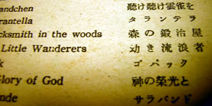 正解(?)の図