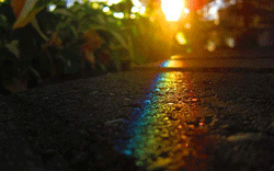 wallpaper-rainbows-photo-011.gif