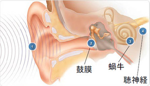 図１