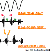 図２