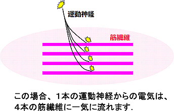 図３