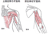 図2