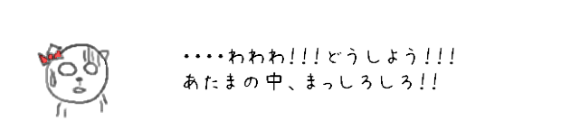 ・・・・わわわ！！！どうしよう！！！あたまの中、まっしろしろ！！