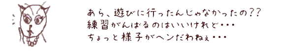 あら、遊びに行ったんじゃなかったの？？練習がんばるのはいいけれど・・・　ちょっと様子がヘンだわねぇ・・・