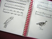 鳥楽譜の絵