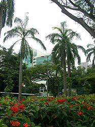 UnivSingapore