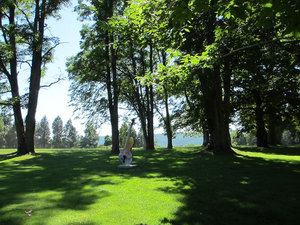 20120725_park.jpg