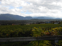 20120926_eppan_landscape.jpg