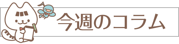今週のコラム