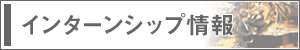 バナー　インターンシップ情報