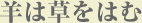 羊は草をはむ