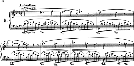 フィールド：ノクターン第５番