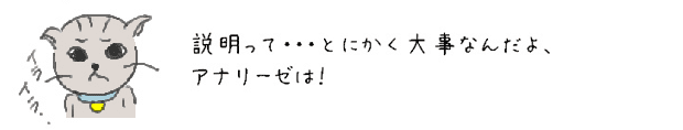 説明って・・・とにかく大事なんだよ、アナリーゼは！