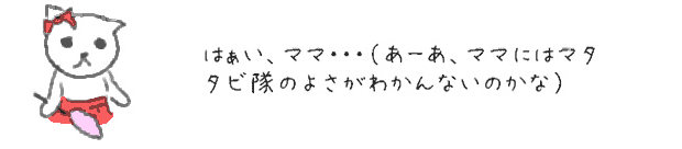 はぁい、ママ・・・（あーあ、ママにはマタタビ隊のよさがわかんないのかな）