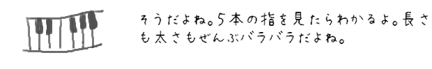 そうだよね。５本の指を見たらわかるよ。長さも太さもぜんぶバラバラだよね。